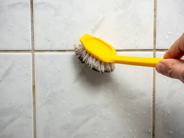Best Mold Removal Process  in Marshall, MN
