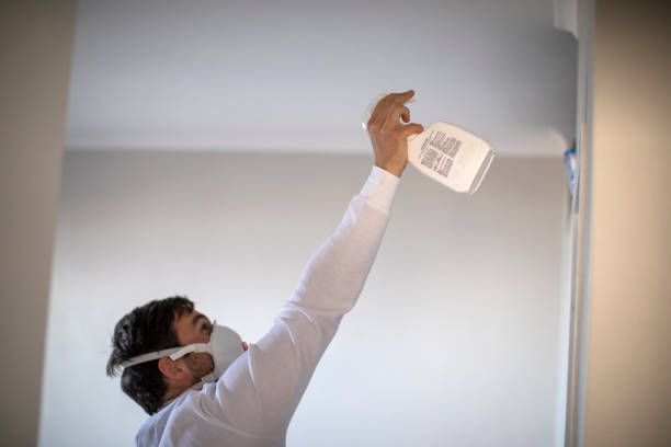 Certified Mold Removal in Marshall, MN