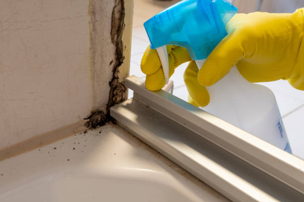 Best Residential Mold Removal  in Marshall, MN